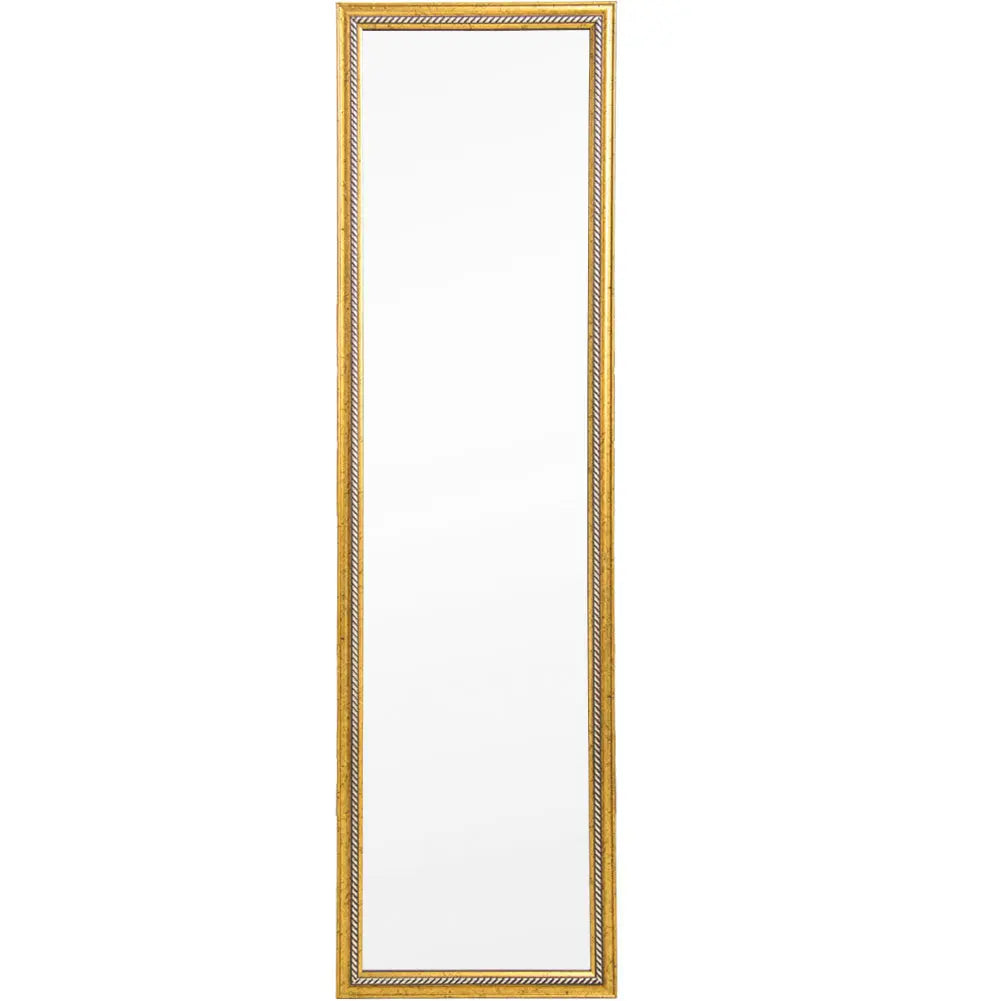 Full Length Mirror Door Mirror Full Body Dressing Mirror Wall Mounted Hanging for Dorm Home, 50"x 14", Gold qbmgp8-fy