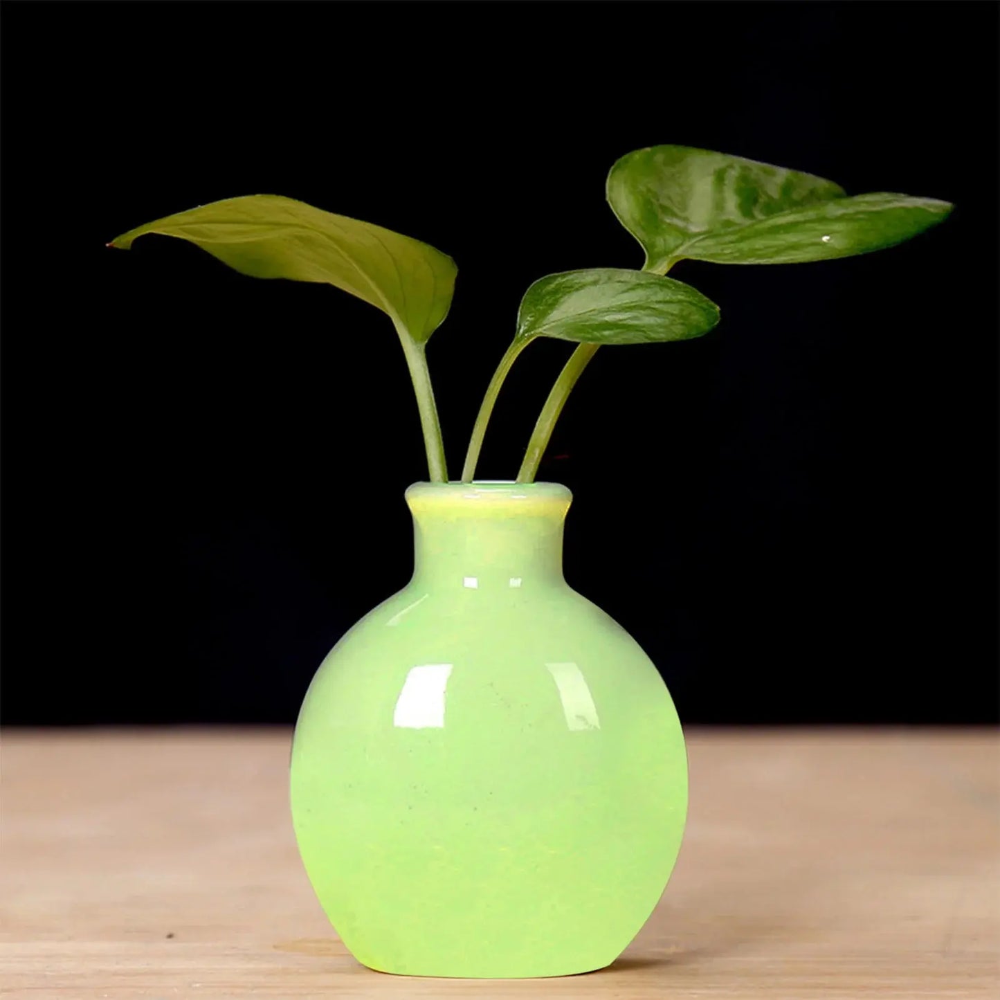 Ceramic Flower Vase Pot Hydroponic Bottle Creative Vase for Plants Office Desktop Ornament Home Room Decor Garden Flowerpot LAVIVA