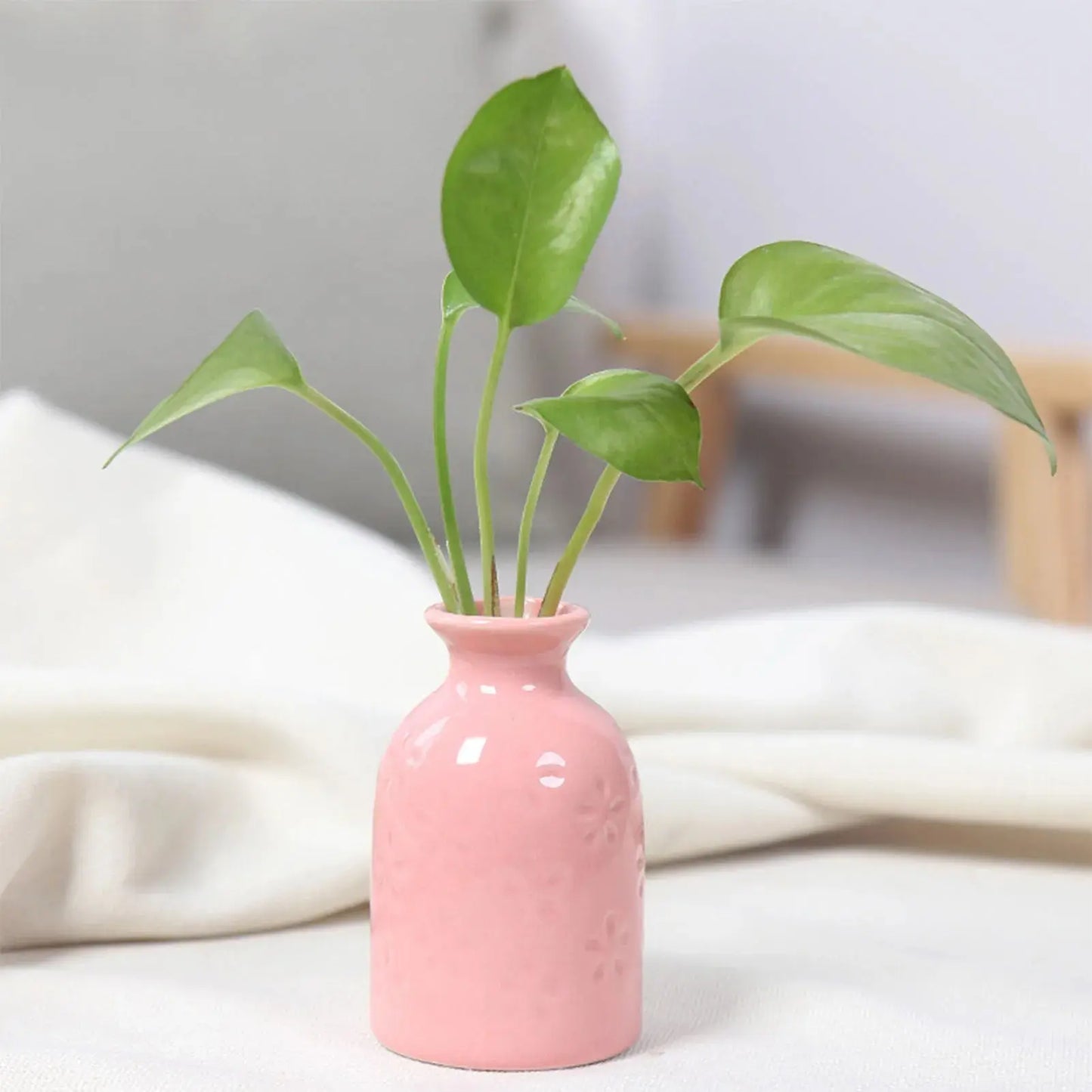 Ceramic Flower Vase Pot Hydroponic Bottle Creative Vase for Plants Office Desktop Ornament Home Room Decor Garden Flowerpot LAVIVA