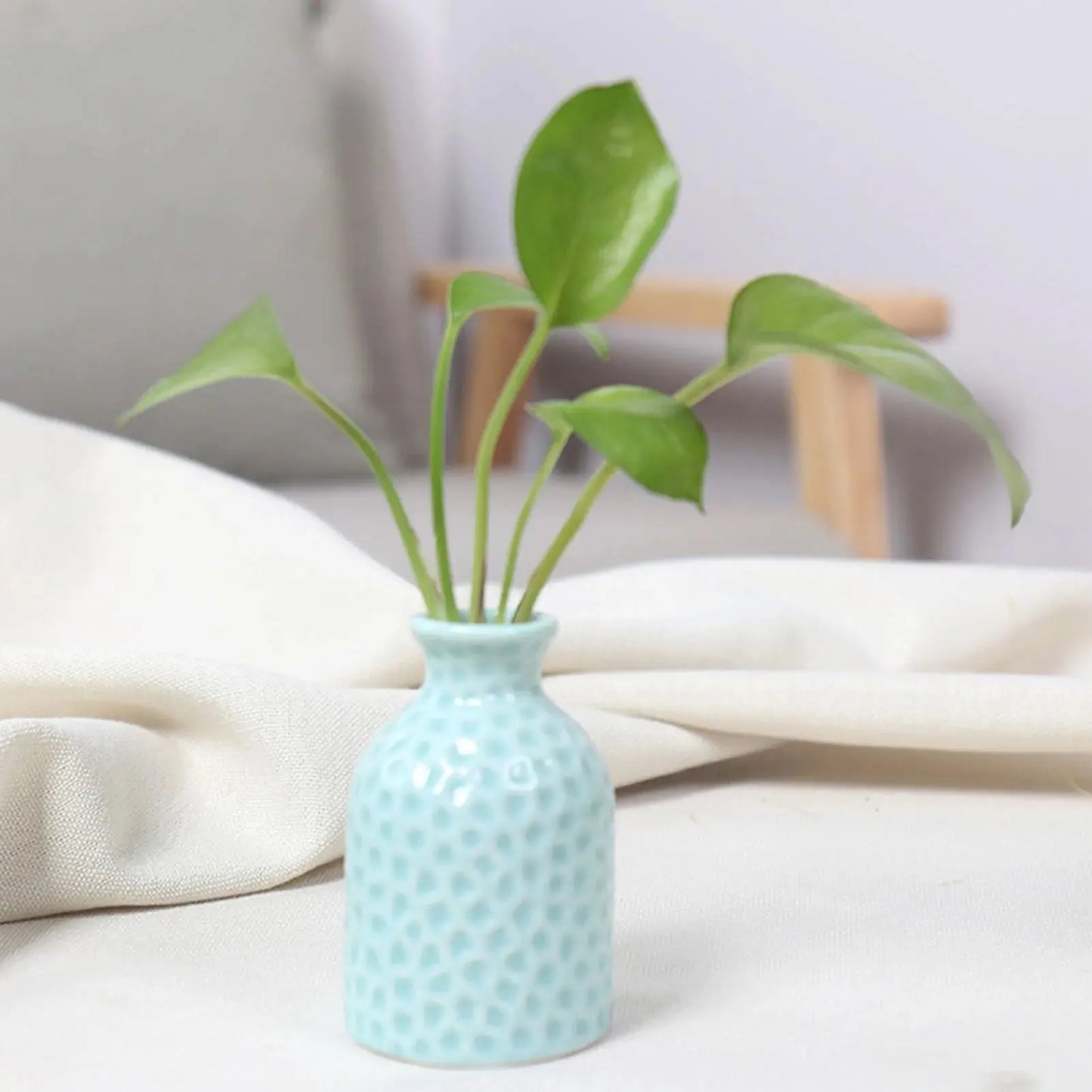 Ceramic Flower Vase Pot Hydroponic Bottle Creative Vase for Plants Office Desktop Ornament Home Room Decor Garden Flowerpot LAVIVA