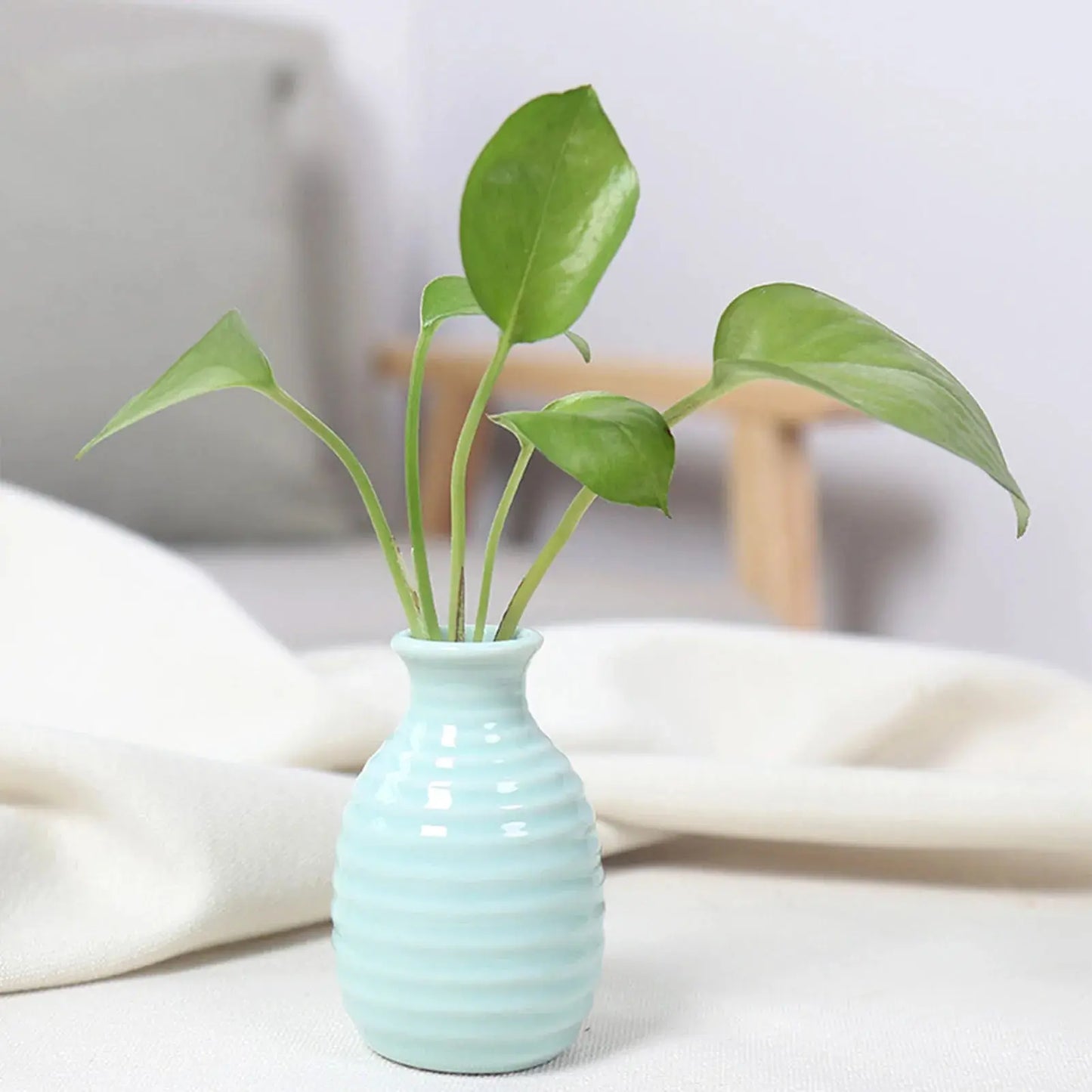 Ceramic Flower Vase Pot Hydroponic Bottle Creative Vase for Plants Office Desktop Ornament Home Room Decor Garden Flowerpot LAVIVA