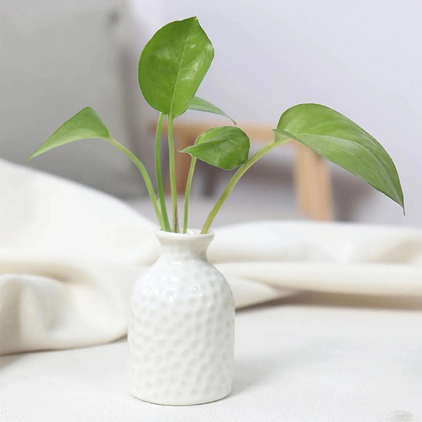 Ceramic Flower Vase Pot Hydroponic Bottle Creative Vase for Plants Office Desktop Ornament Home Room Decor Garden Flowerpot LAVIVA