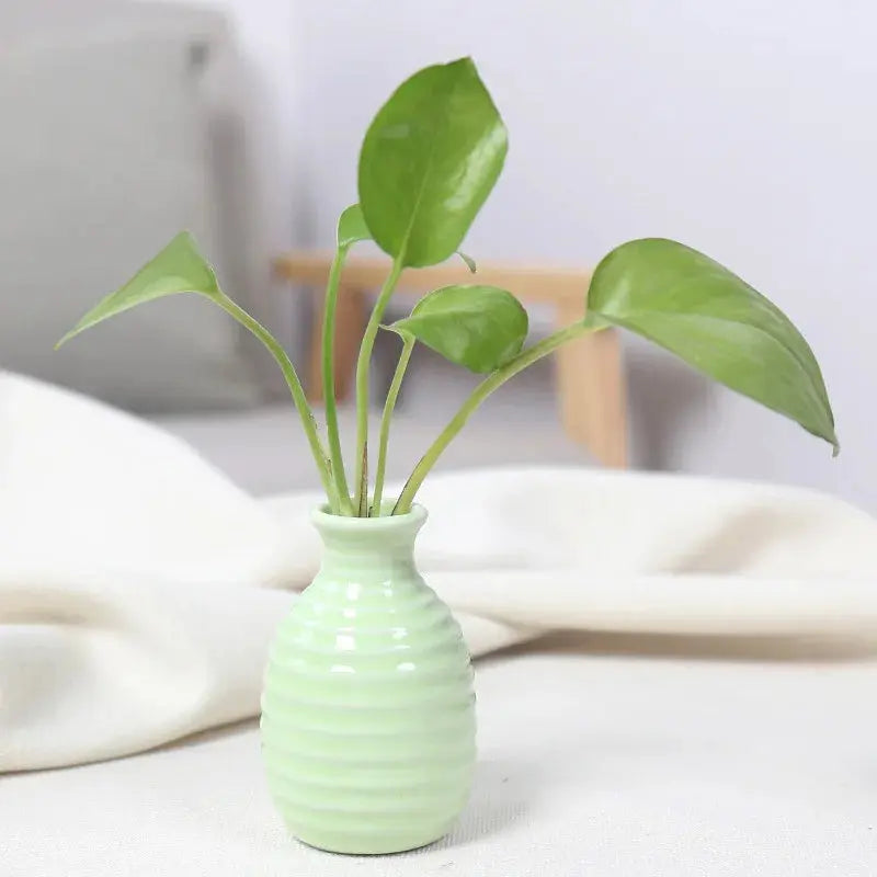 Ceramic Flower Vase Pot Hydroponic Bottle Creative Vase for Plants Office Desktop Ornament Home Room Decor Garden Flowerpot LAVIVA