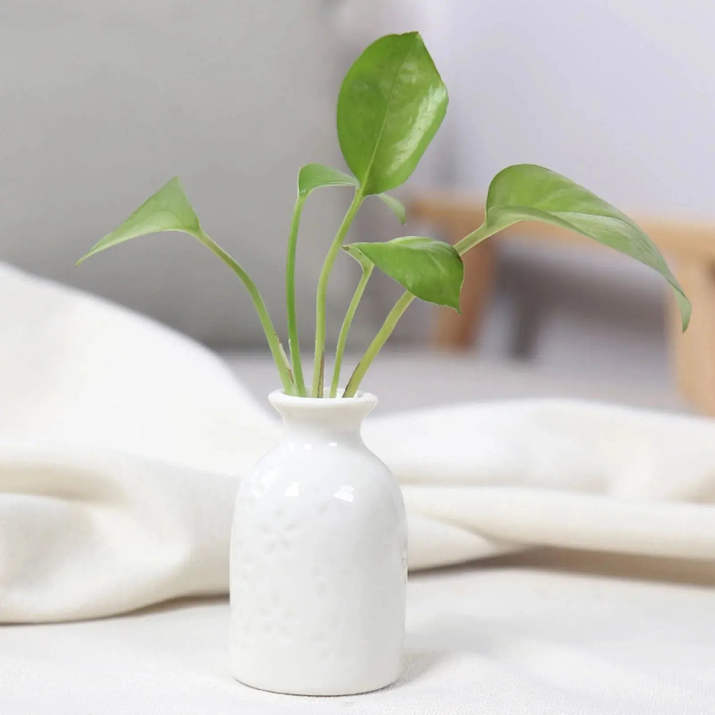 Ceramic Flower Vase Pot Hydroponic Bottle Creative Vase for Plants Office Desktop Ornament Home Room Decor Garden Flowerpot LAVIVA