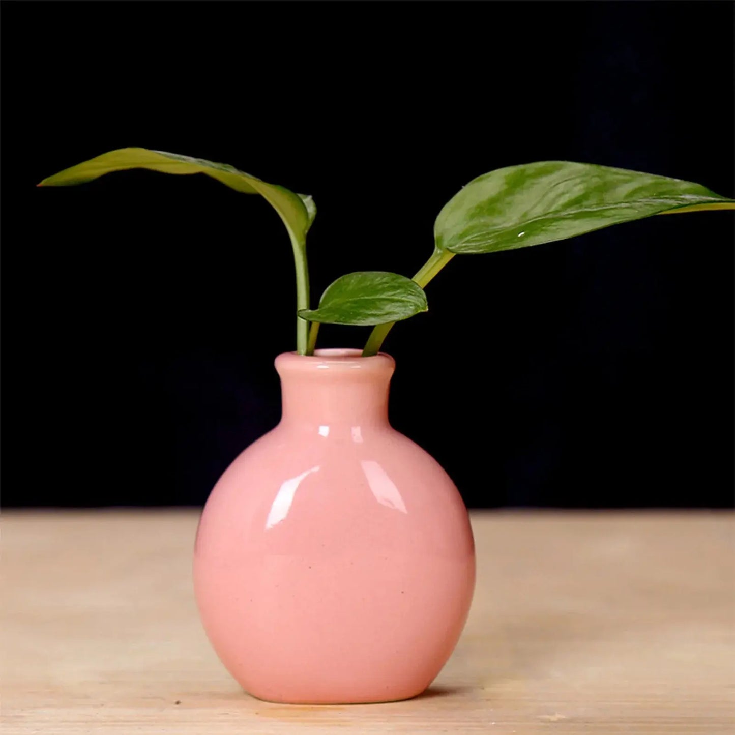 Ceramic Flower Vase Pot Hydroponic Bottle Creative Vase for Plants Office Desktop Ornament Home Room Decor Garden Flowerpot LAVIVA