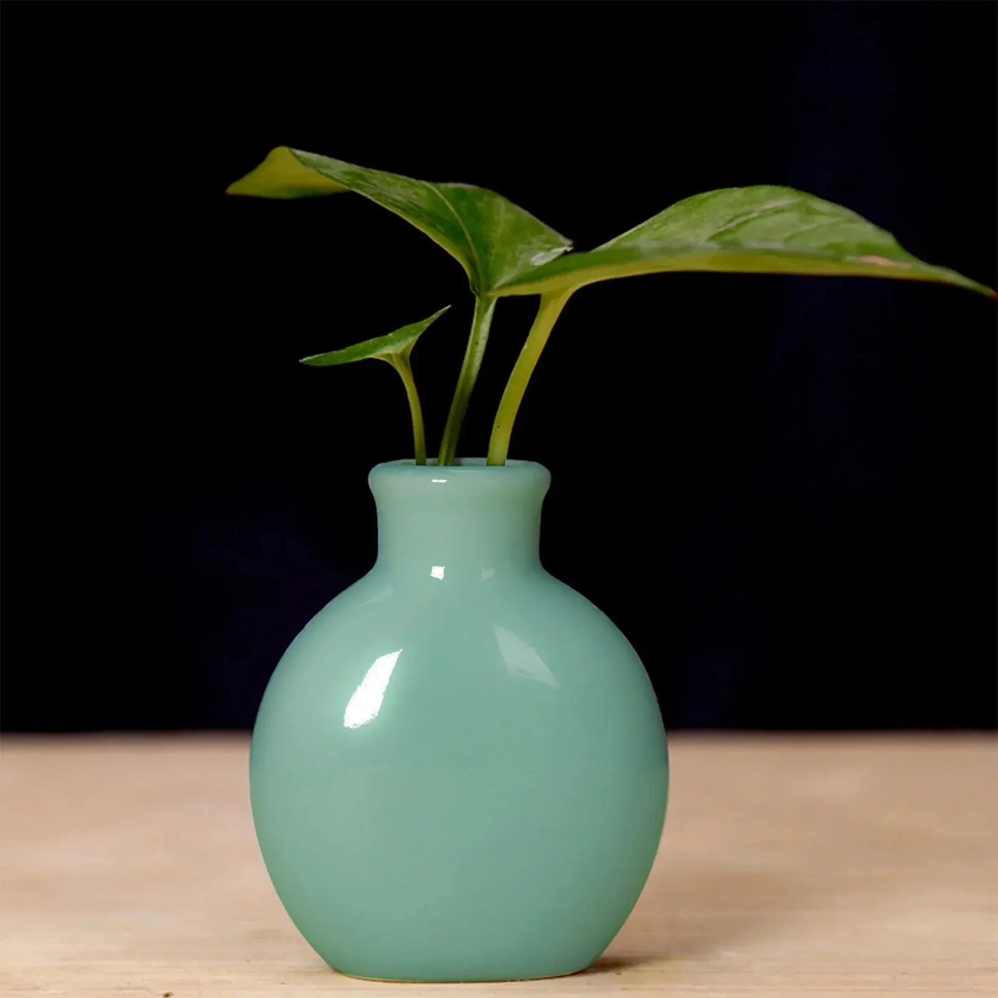 Ceramic Flower Vase Pot Hydroponic Bottle Creative Vase for Plants Office Desktop Ornament Home Room Decor Garden Flowerpot LAVIVA