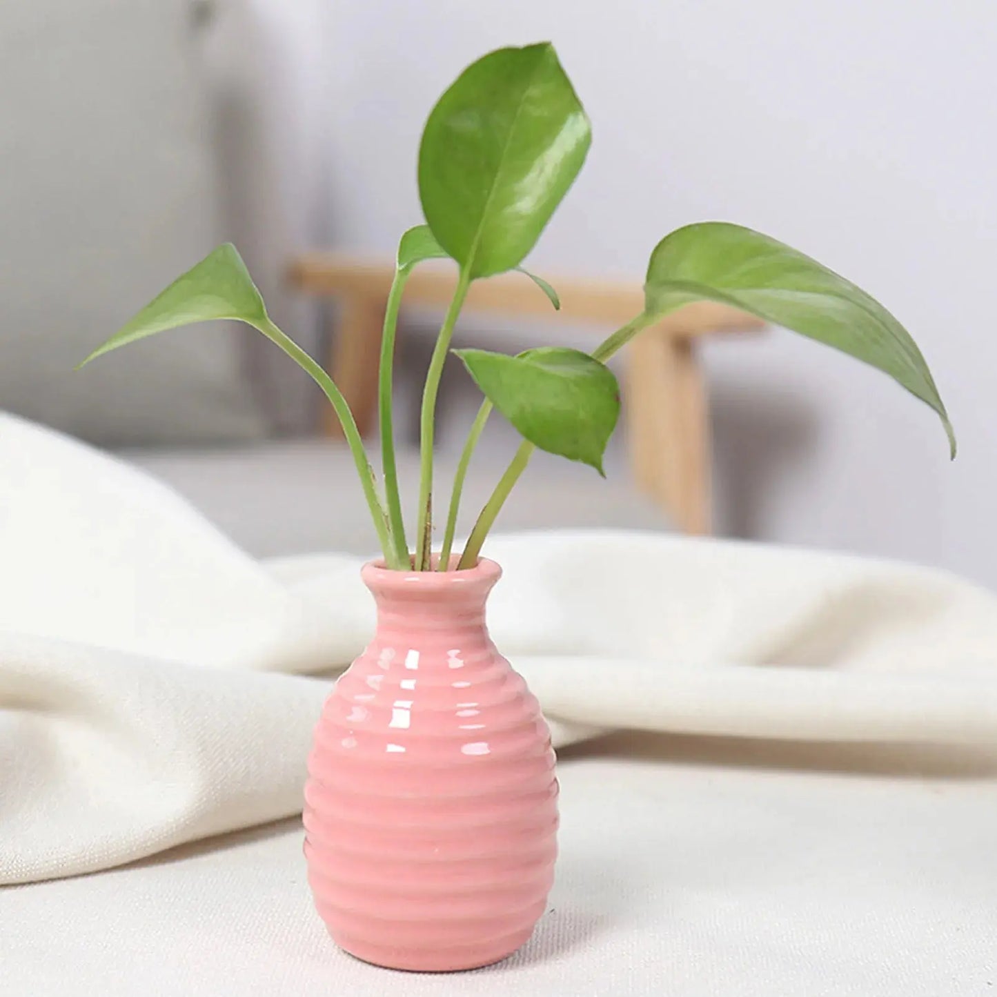 Ceramic Flower Vase Pot Hydroponic Bottle Creative Vase for Plants Office Desktop Ornament Home Room Decor Garden Flowerpot LAVIVA