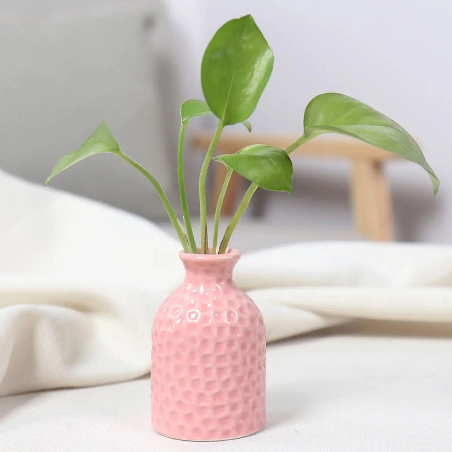 Ceramic Flower Vase Pot Hydroponic Bottle Creative Vase for Plants Office Desktop Ornament Home Room Decor Garden Flowerpot LAVIVA