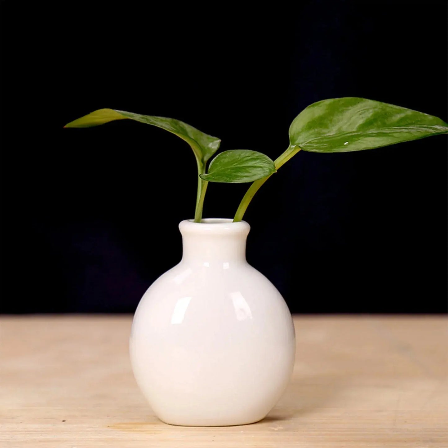 Ceramic Flower Vase Pot Hydroponic Bottle Creative Vase for Plants Office Desktop Ornament Home Room Decor Garden Flowerpot LAVIVA