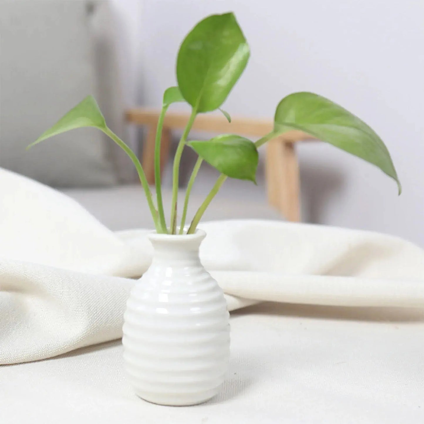 Ceramic Flower Vase Pot Hydroponic Bottle Creative Vase for Plants Office Desktop Ornament Home Room Decor Garden Flowerpot LAVIVA