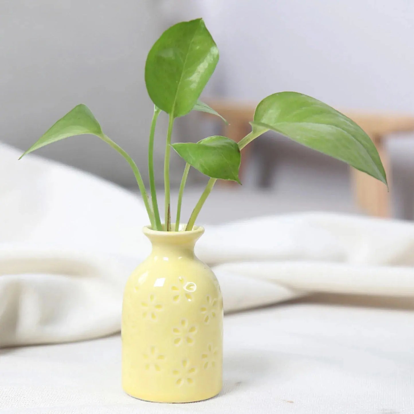 Ceramic Flower Vase Pot Hydroponic Bottle Creative Vase for Plants Office Desktop Ornament Home Room Decor Garden Flowerpot LAVIVA