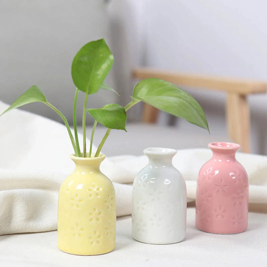 Ceramic Flower Vase Pot Hydroponic Bottle Creative Vase for Plants Office Desktop Ornament Home Room Decor Garden Flowerpot LAVIVA